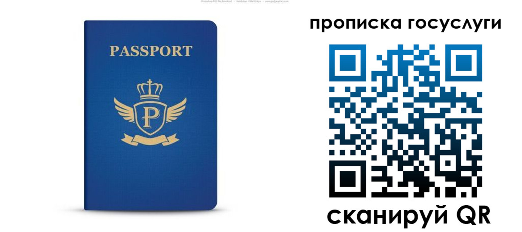 прописка для школы в Гуково